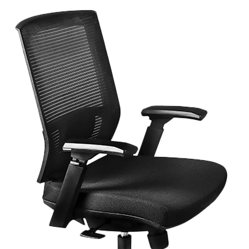 AUSTRIA LETERAL ACERCAMIENTO