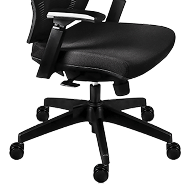 AUSTRIA PERFIL ACERCAMIENTO